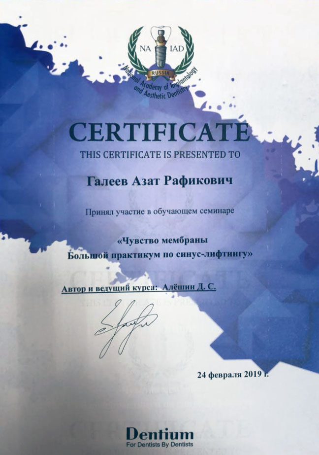 Галеев Азат Рафикович - изображение 10